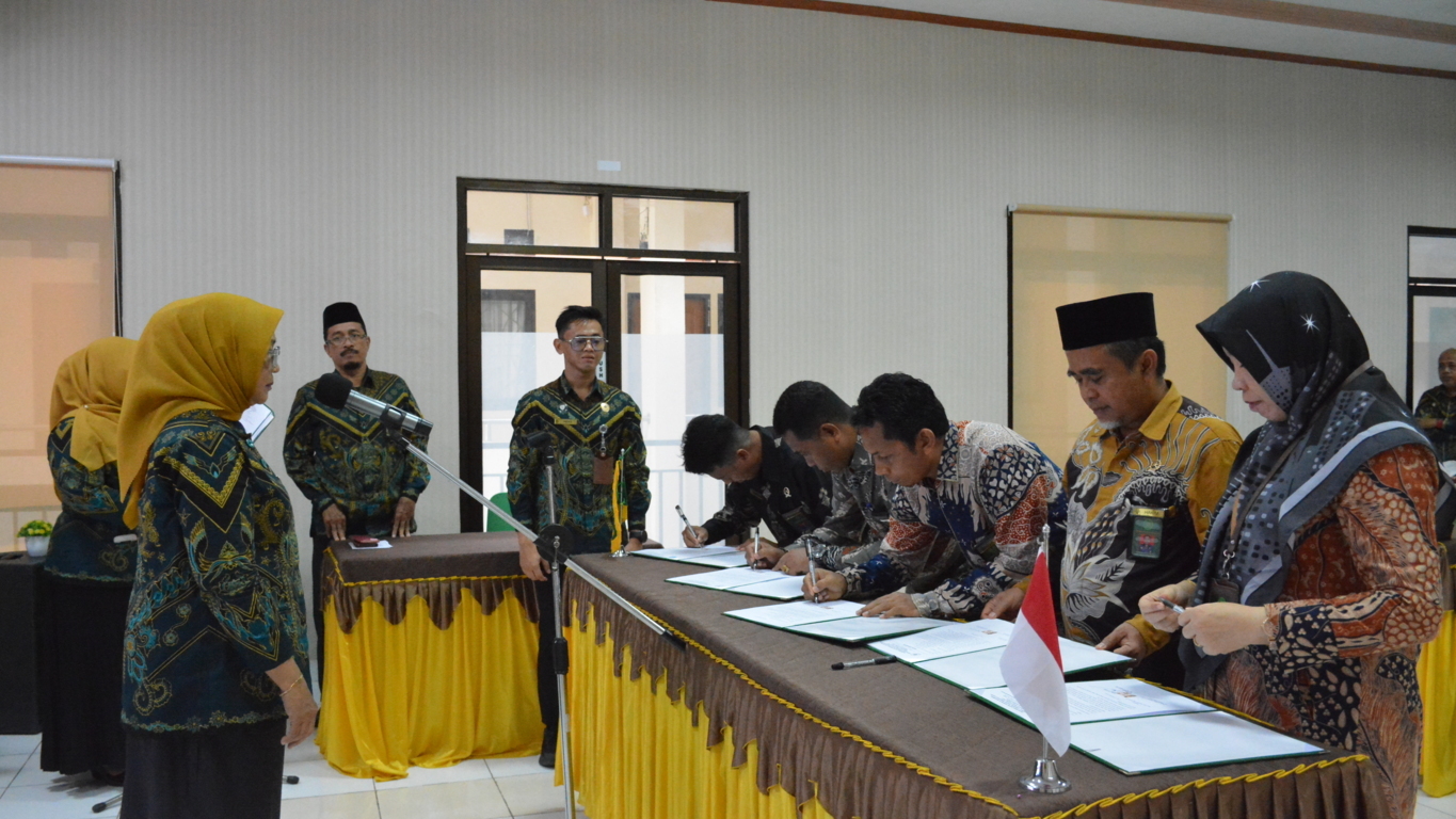 DSC 8107 FILEminimizer